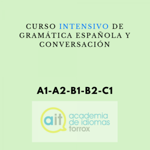 Curso de gramática española y conversación (20 horas semanales)
